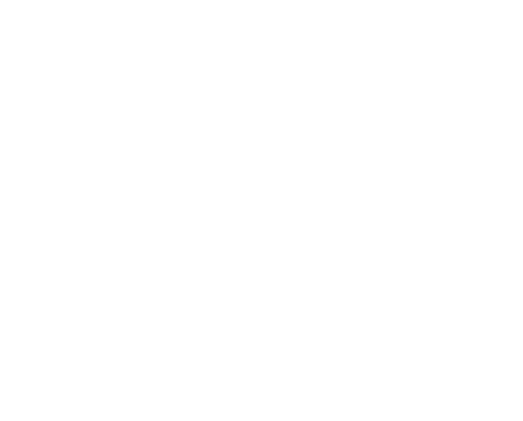 Caloudi_Logo white